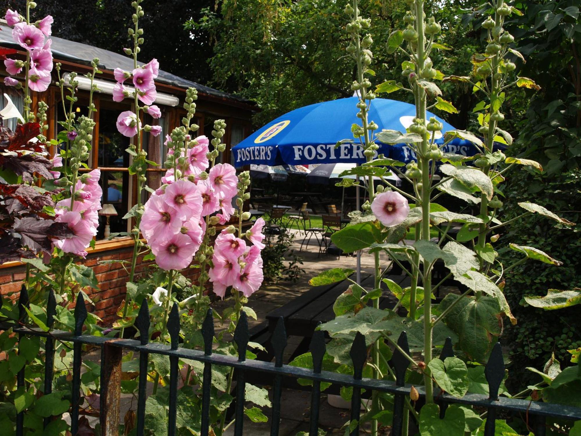 The Olde Windmill Inn Great Cressingham Luaran gambar
